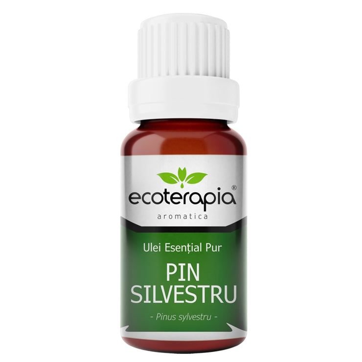 Ulei esențial Pur de Pin Silvestru, 10ml  - Ecoterapia